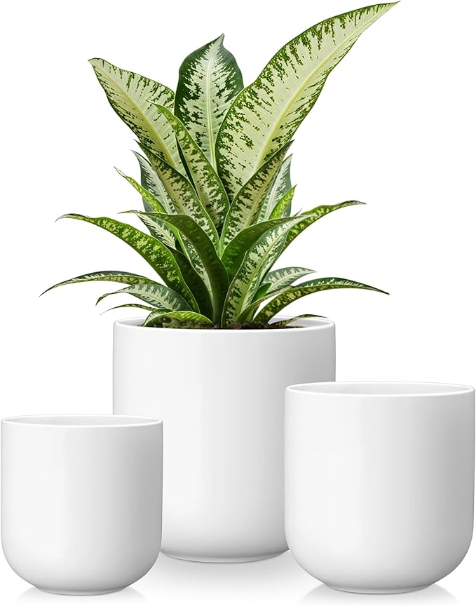 vancasso Ceramic Plant Pots 4+5+6 inches Set of 3 Planters with Drainage Hole Flower Pots Planters Pots for Indoor Plants Modern Indoor Decorative Garden Pot Home Decor White