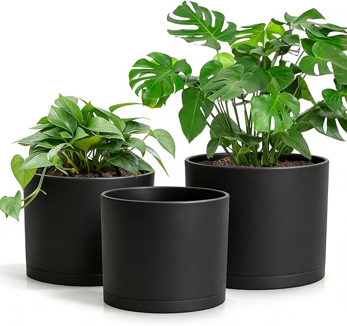 Large Plant Pots Set of 3 – 8 9 10 Indoor Flower Pots with Drainage Holes and Saucers Big Planters for Monstera Fiddle Leaf Fig Snake Plant – 5 Colors