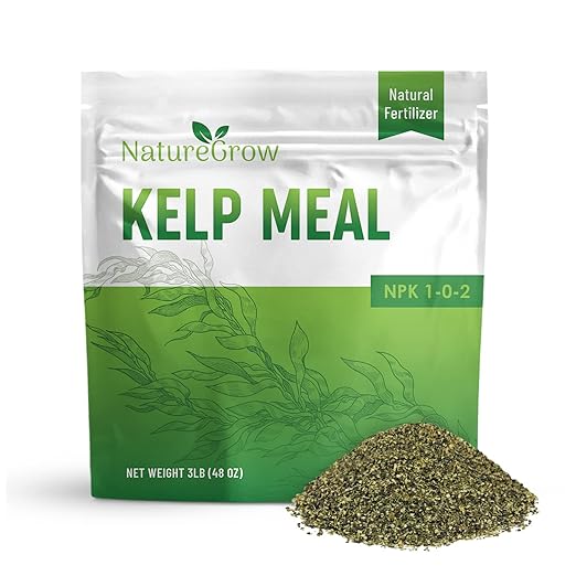 Kelp Meal1-0-2 Natural Plant Food Boost Plant Health and Yield! (3lb)