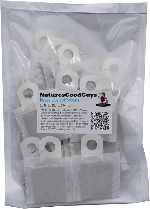 Neoseiulus californicus 25 sachets with 250 Mites