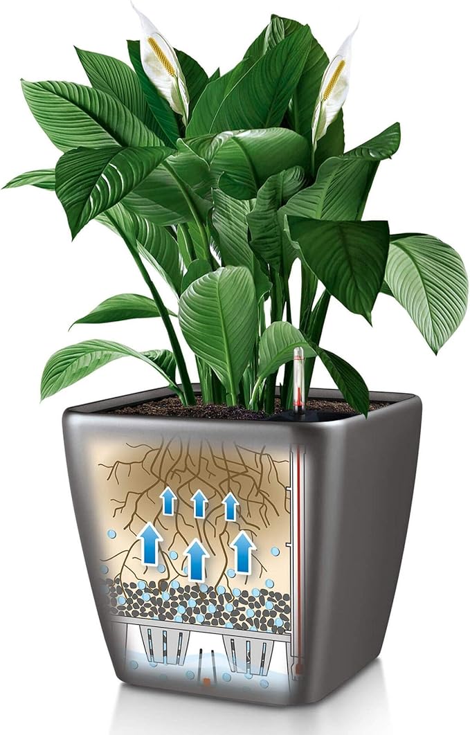 Lechuza Quadro LS 50 Scarlet Red High Gloss Self-Watering Large Square Planter H18.5 L19.7 W19.7 in