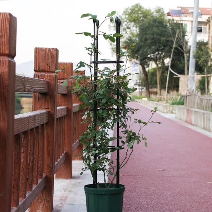 1 Pc Garden Trellis Plant Trellis for Climbing Plants Indoor Outdoor Plant Stake for Flower Vegetable TomatoVines Tomato Cage for Potted Plants(Size:11.8(30cm)*47.2(120cm) inch)