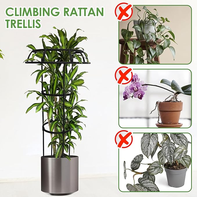 Garden Trellis for Climbing Planter Adjustable Metal Flower Trellis Mushroom Top Trellis for Outdoor Indoor Use Planter Support for Vegetables Roses Vines US(Three LayersBlack)