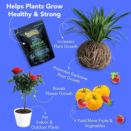 Trifecta Myco Supreme Mycorrhizal Fungi for Soil Plant Root Stimulator Ultra Concentrated Mycorrhizae for Strong Roots &amp Living Soil Tree Rose and Flower Care
