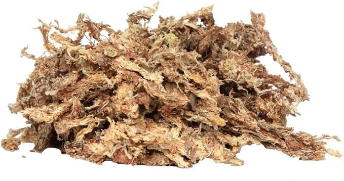 Peruvian Moss: Organic Sphagnum Moss for Orchids Succulents Indoor Plants &amp Reptile Substrate - 1 Kilo