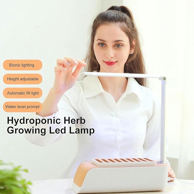 Hydroponic Culture System Plant Flu