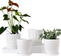 Ton Sin Plant PotsWhite 6 Inch Flower Pots for PlantsCeramic Planter with Drainage HolesIndoor Planter Pots with SaucerOutdoor Garden Pots (White 4 Pack)