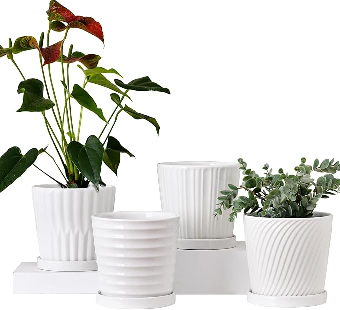 Ton Sin Plant PotsWhite 6 Inch Flower Pots for PlantsCeramic Planter with Drainage HolesIndoor Planter Pots with SaucerOutdoor Garden Pots (White 4 Pack)