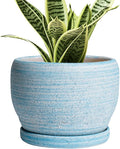 SQOWL Ceramic Planters for Indoor Plants - 6 Inch Plant Pot Indoor Outdoor Decorative Flower Pot with Drainage Hole and Saucer Round Succulent Planter Home Apartment Decor Garden Gifts Blue