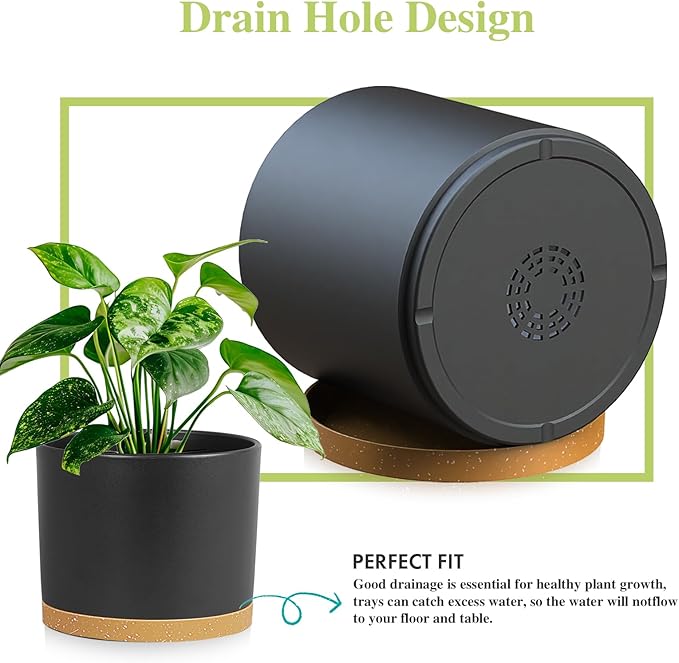 Large Plant Pots Set of 3 – 8 9 10 Indoor Flower Pots with Drainage Holes and Saucers Big Planters for Monstera Fiddle Leaf Fig Snake Plant – 5 Colors