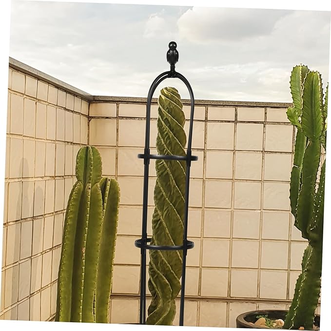 BESPORTBLE Elegant Plant Stakes for Climbing Vines Garden Trellis Strong Support for Potted Plants
