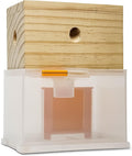 Carpenter Bee Trap - Wood Boring Bee Trap - Unique Catch &amp Release Outdoor Carpenter Bee Trap - Includes Hanging Hardware &amp 5 Bee Dams