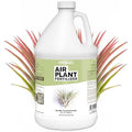 TPS NUTRIENTS Air Plant Fertilizer for All Tillandsia Air Plants Use As Foliar Spray or for Soaking Liquid Plant Food 1 Gallon (128 oz)