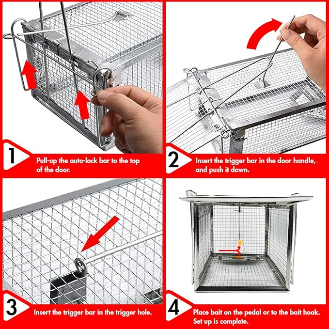 Humane Squirrel Trap - 2 Pack Rat Trap that Works 12.5x6.5x5.5 Small Rodent Chipmunk Trap Cages | Catch and Release | Reusable and Durable | No Kill Animal Trap | Indoor for Home and Outdoors