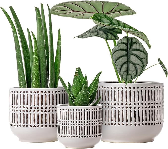 Docrin 3-Pack Ceramic Planters Set - 6.5+5.3+4 Dual-Tone Flower Pots with Drainage Holes Modern Indoor Outdoor Planters for Succulents/Herbs/Large Plants Home Office (Brownish Black &amp White)