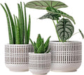 Docrin 3-Pack Ceramic Planters Set - 6.5+5.3+4 Dual-Tone Flower Pots with Drainage Holes Modern Indoor Outdoor Planters for Succulents/Herbs/Large Plants Home Office (Brownish Black &amp White)
