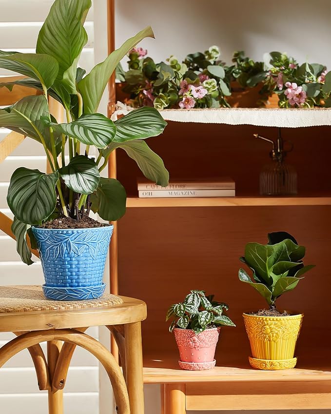 Ceramic Plant Pots 3.8+4.9+5.8 Inch Set of 3 Flower Pots with Drainage Hole &amp Saucer Embossed Planter Pots for House Plants Home Decor Set of 4 Assorted Colors
