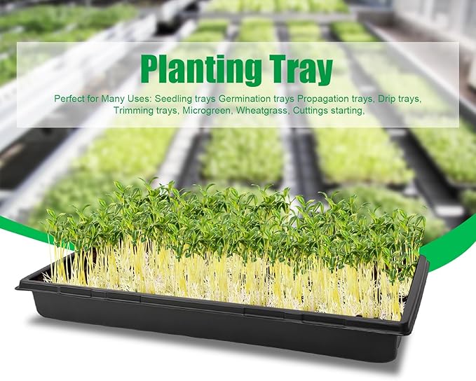 10 Pack 1020 Trays Extra Thick Heavy Duty Seed Starting Trays - No Holes No Leak Reusable Propagation Flats for Microgreens Seedlings Plant Germination Fodder and Transplant