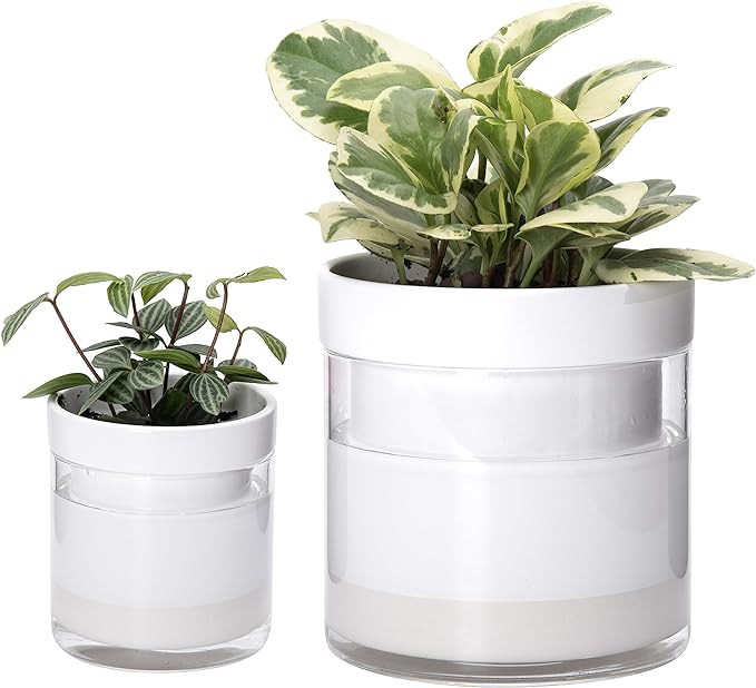 Phoenix Vine 6 Inch 4 Inch Self Watering Planter White Terracotta Clay Pots with Glass Reservoir for Indoor Plants Herbs Flowers 52-B-G-46