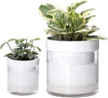 Phoenix Vine 6 Inch 4 Inch Self Watering Planter White Terracotta Clay Pots with Glass Reservoir for Indoor Plants Herbs Flowers 52-B-G-46