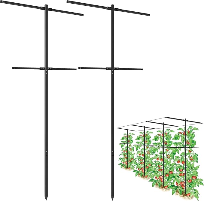 2 Pack Metal Detachable Raspberry &amp Grape Vine Trellis for Climbing Plants Heavy-Duty 7 Ft Tall Large Vineyard Trellis Support Sturdy Garden Stakes for Outdoor Raised Beds Vegetables Fruits Flow
