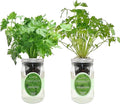 2-Pack Hydroponic Mason Jar Herb Garden Kit Indoor Herb Garden Self-Watering Starter Kit (ParsleyCilantro)