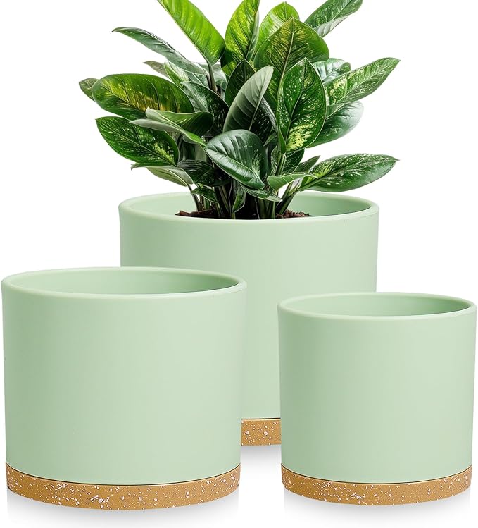 Large Plant Pots Set of 3 – 8 9 10 Indoor Flower Pots with Drainage Holes and Saucers Big Planters for Monstera Fiddle Leaf Fig Snake Plant – 5 Colors