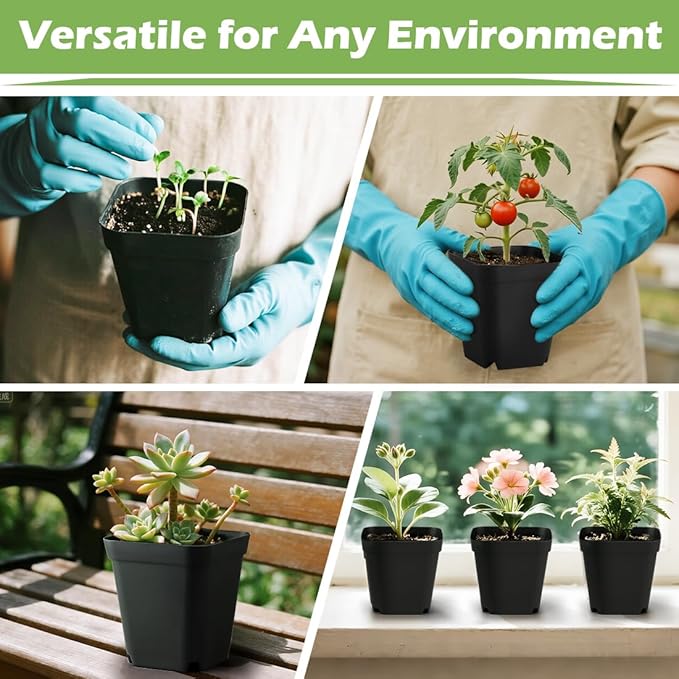 Square Nursery pots 4 Inches 60Pcs Seedling Plastic Seeds propogation Growing Pots (Black4Inches60Pcs)