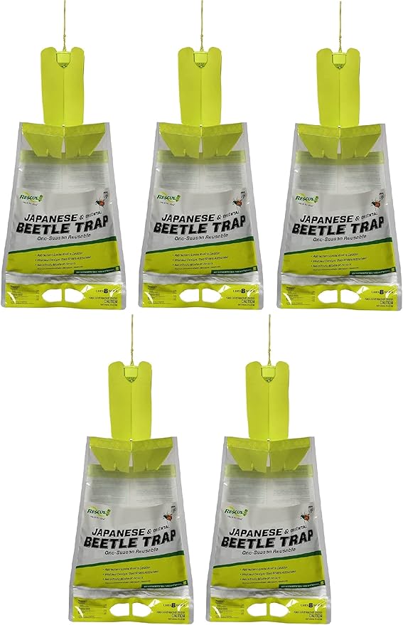 Japanese Beetle Trap