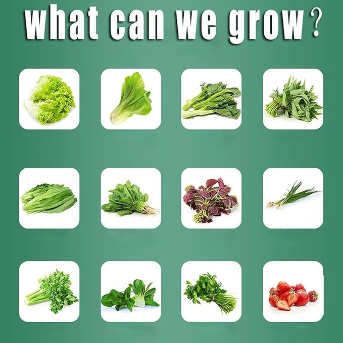 Hydroponics Growing SystemVertical Hydroponic Growing Systems PVC Tube Plant Vegetable Without Water Tank for Leafy Vegetables