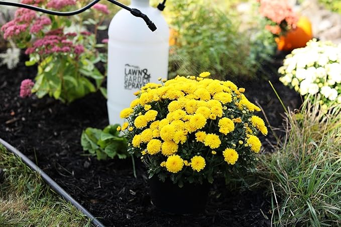 Flo-Master by Hudson 2 Gallon Lawn &amp Garden Sprayer