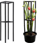 48x12 Inches Dragon Fruit Trellis for Climbing Plants - Premium Quality Metal Support Stand Weather-Resistant &amp Durable for Gardeners and Plant Enthusiasts