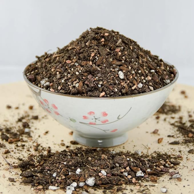 Special Blend Organic Bonsai Soil w/Mycorrhizae Lava &amp Coarse Sand - Small Size 3 gal.