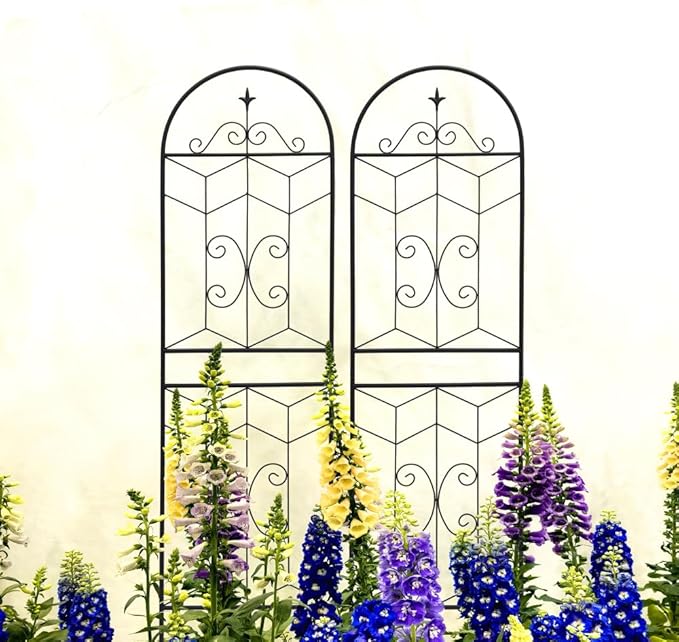 Heavy-Duty Metal Garden Trellis for Climbing Plants – Rust-Resistant Powder-Coated Support for Roses Cucumbers Beans and Vines (2 Pack-H71'')