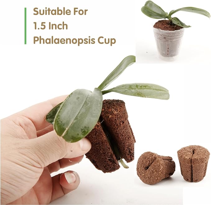 50pcs 1.5 Inch Phalaenopsis Orchid Growing Plugs Hydroponic Growing Media for 1.5 Inch Orchid Cups Breathable Planting Cubes for Orchid Seedlings and Transplanting