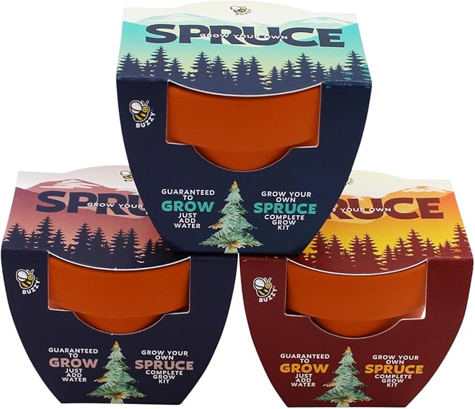 BUZZY Seeds Spruce Tree 12-Pack Mini Terracotta Grow Kits – Sustainable Tree Growing Kit Includes Everything to Sprout Evergreens Perfect for Earth Day Party Favors or Corporate Gifts