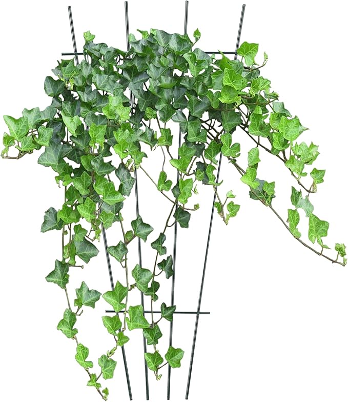 Flueyer 4 Pcs Plant Trellis for Climbing Plants Indoor Green Coated Fan Pot Trellis Metal Flower Support Garden Trellis Frames for Indoor Outdoor Vines Flower Vegetable