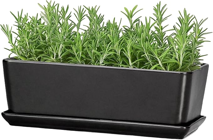 SQOWL Rectangle Planter - 10 Inch Ceramic Plant Pots with Drainage Hole and Saucer Rectangular Succulent Planters for Indoor Plants Flower Cactus Herb Pots Outdoor Room Decor Garden Gifts Black