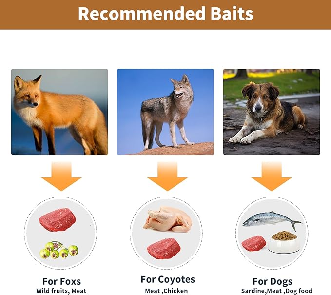 57” Collapsible Large Live Animal Trap Easy to Set and Release Live Animal Traps for Dogs Foxes Coyotes Bobcats and Other similarly Sized Animals up to 55 lbs