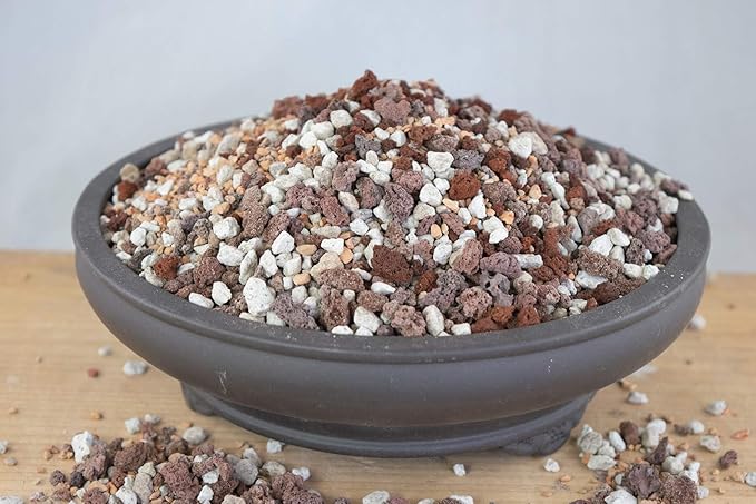 10 Cups Pre Mixed Pumice Red Lava Turface for Cactus &amp Succulent Bonsai Tree Soil Mix - Medium Grain Inorganic Additive (2.5Q INORG M)