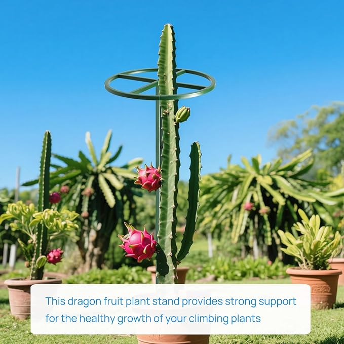 1 Pcs Adjustable Round Dragon Fruit TrellisDurable Metal Plant Trellis Outdoor Climbing Plants Support Frame for Vertical Gardening Trees Cactus Green