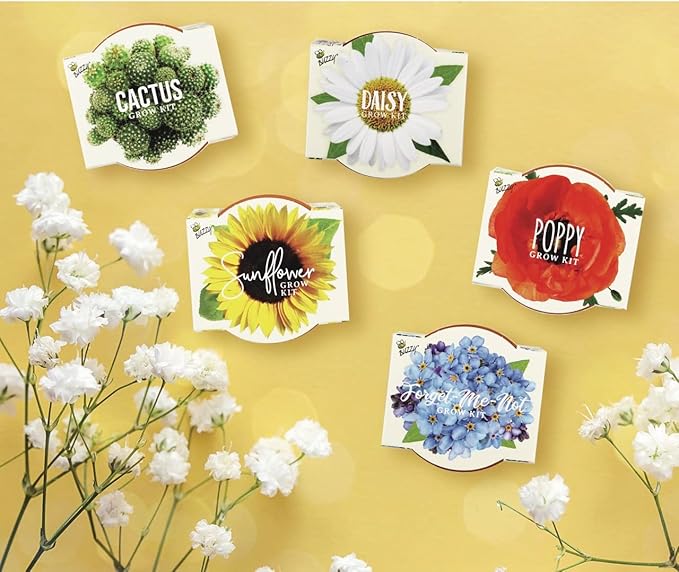 BUZZY Seeds Mini Terracotta Pots 12-Pack with Plant Seeds Poppy Sunflower Daisy Cactus and Forget Me Not All-in-One Seed Starter Kit Indoor Outdoor Gardening Gift Wedding Favors Mother's Day
