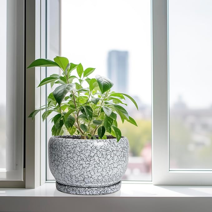 SQOWL Ceramic Planters - 10 Inch Ceramic Flower Pot with Drainage Hole and Saucer Decorative Plant Pot Indoor Round Large Planter Outdoor Bathroom Decor Gifts for Plant Lovers Black and White