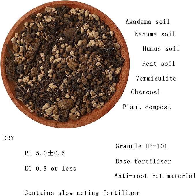 Japanese Blueberry Potting Soil Mix - 6L Acidic pH 5.0 Peat &amp Organic Compost