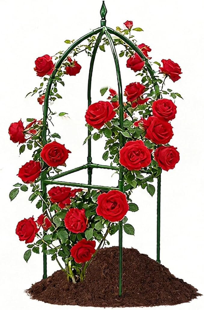 Outdoor Trellis for Climbing Plants - Adjustable Height Metal Obelisk HolderMetal Garden Trellis - for Balcony House Outside Wedding Vegetable Flower Fruit