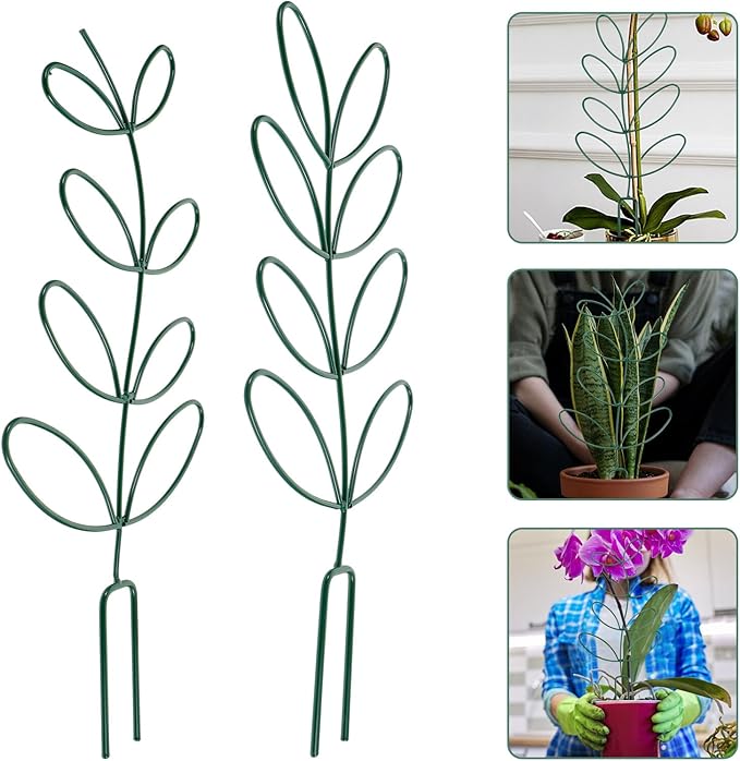2pcs Climbing Plant Support Trellis for Garden and Indoor Plants Green Iron Frame Cage for Tomato and Vine Sturdy Outdoor Climbing Support Structure