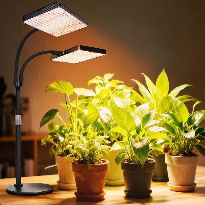 2026 2Head Desk Grow Light Big Coverage Tabletop Grow Lights for Indoor Plants Bonsai Seed Starting 4/8/12/16/20H Timer 50 Watt Power Draw NO Need Adapter 16-24 Height Adjustable