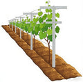 Mr Garden 5-Feet Garden Trellis 2pack Set for Raspberry and Climbing Plants Heavy Duty Outdoor Stake Vineyard Trellis Fiberglass Rust-Proof 2 Cross-bar Adjustable Height (2 Trellises)