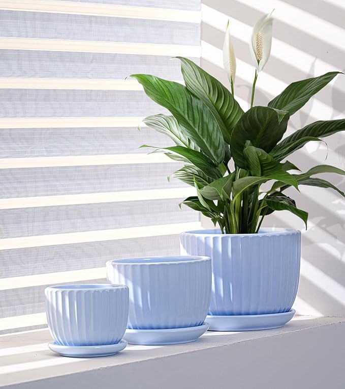 Ton Sin Sky Blue Ceramic Flower Pots 4+5+6 Inch Small Succulent Planters with Drainage HoleModern Indoor Decorative Plant Pots Set of 3Garden Pots with Saucer(Blue)