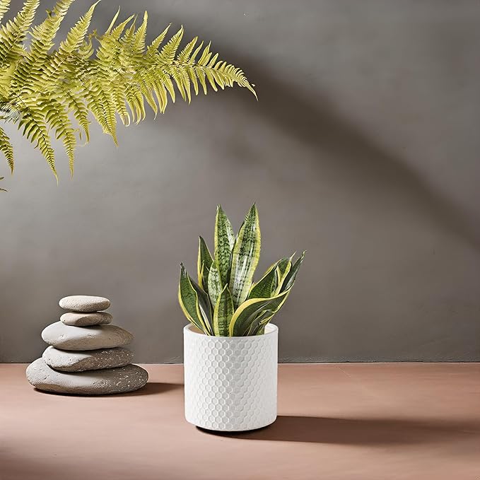 Docrin Ceramic Planters Indoor 8 Inch Plant Pot with Drainage Holes for Home/Office - White Honeycomb